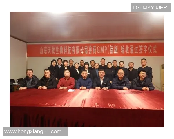 重庆羽毛球队的崛起之路：钻石联赛背后的奋斗与荣耀