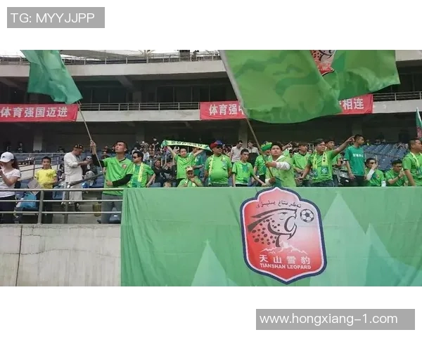 丽江飞虎与深圳队的精彩对决结果揭晓赛事回顾与分析